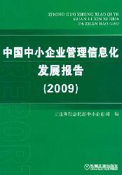 中小企业信息化发展指南 企业信息化开发路径与实践